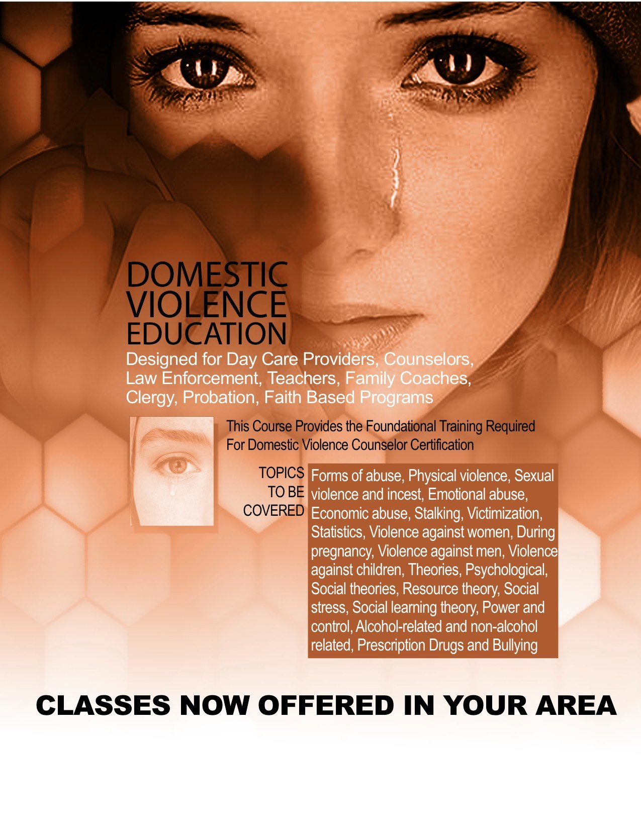 Domestic Violence Education design work