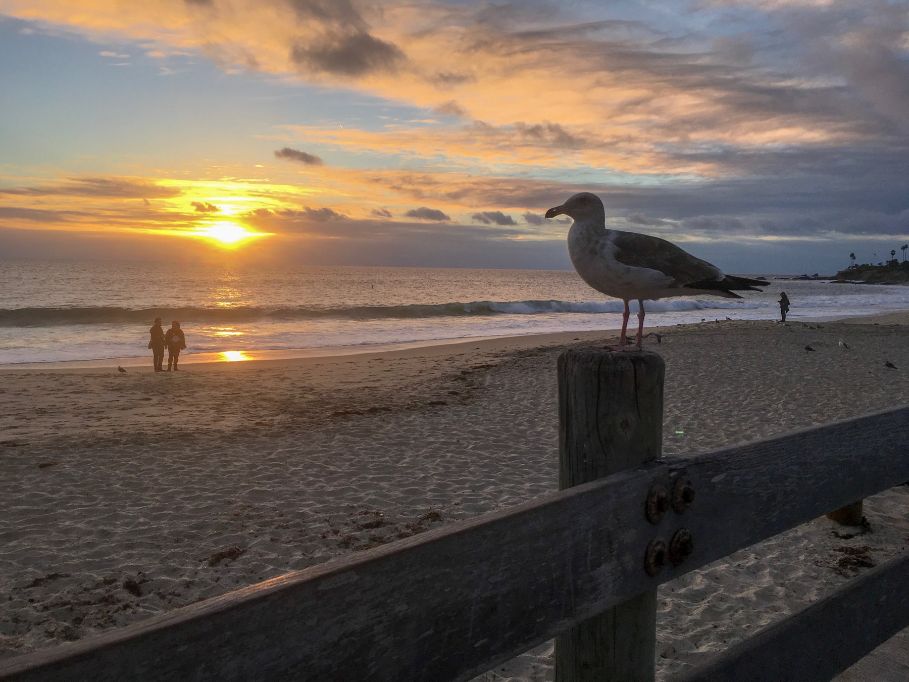 Shoreline at sunset photograph by Keith Jackson