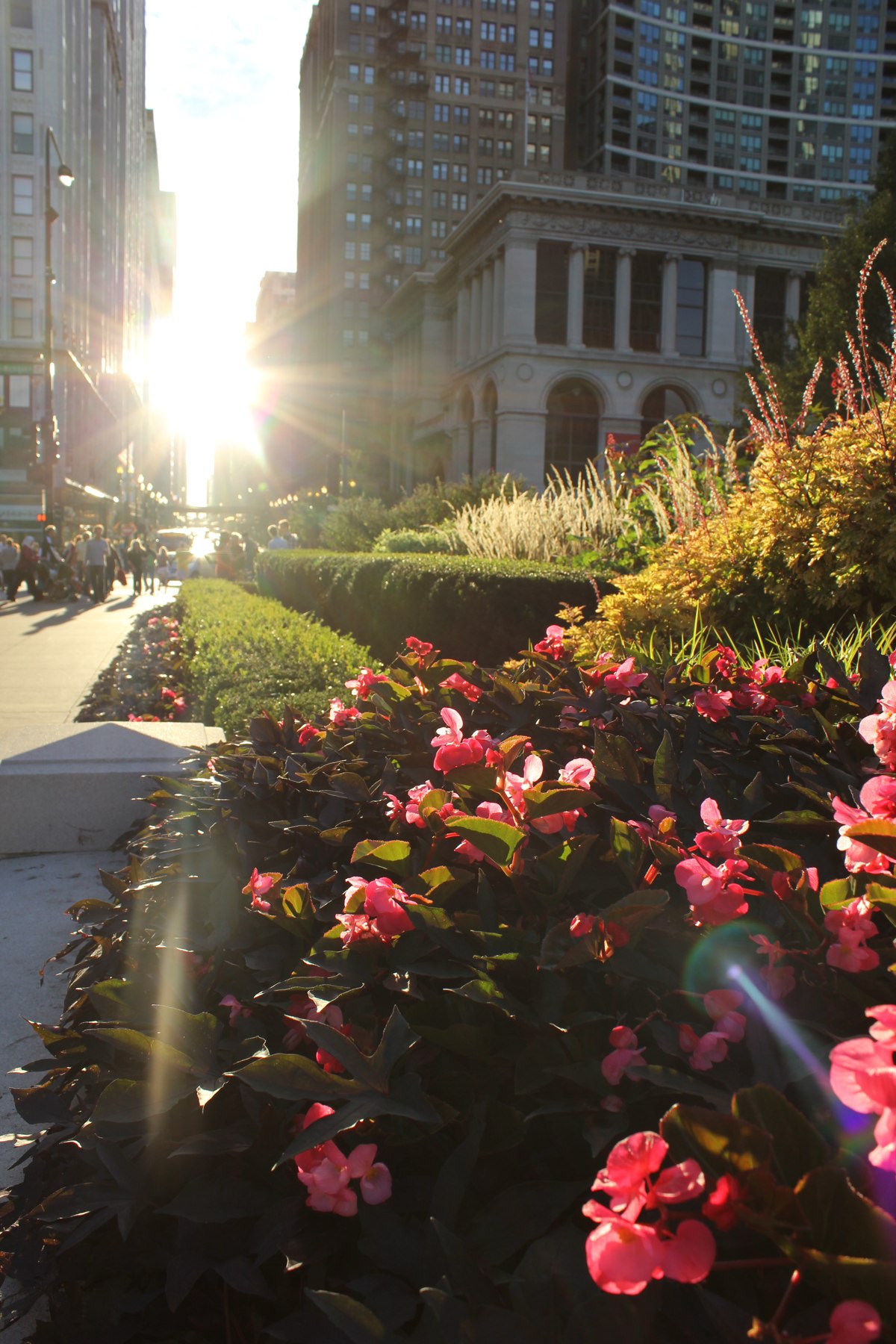 City garden photograph by Keith Jackson